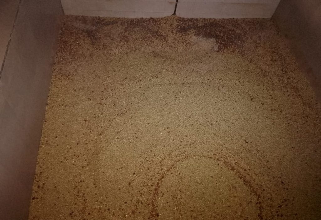 Fermentation of Coffee at Ndaroini Coffee Factory